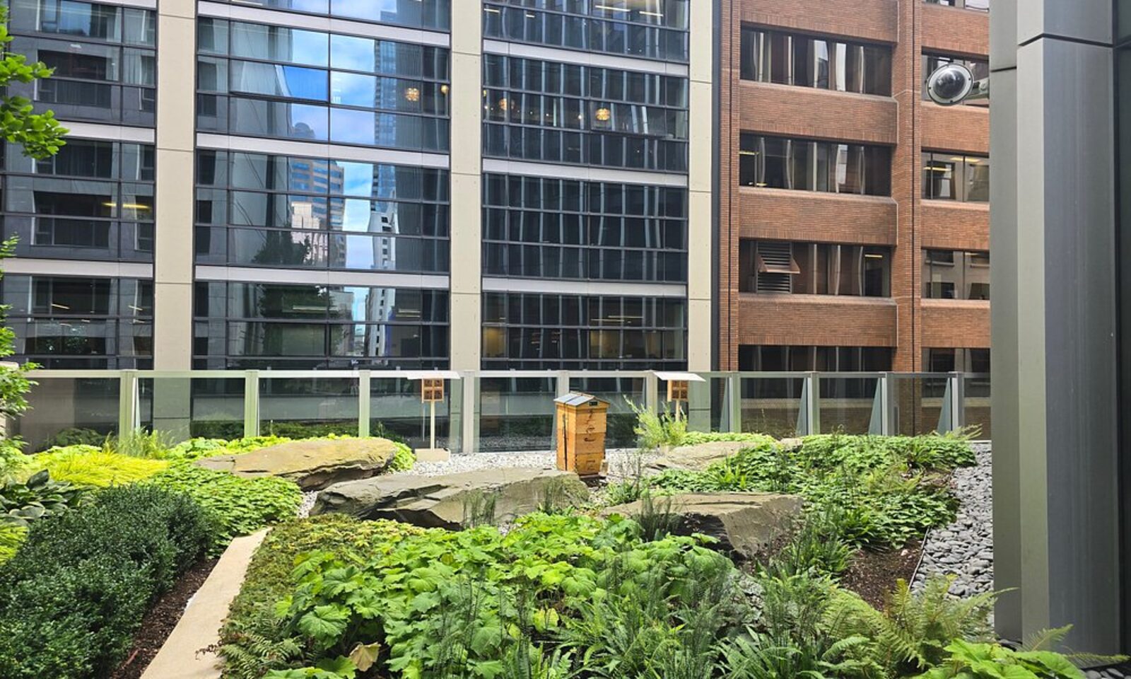 A rooftop garden with a beehive, framed by the surrounding financial district towers