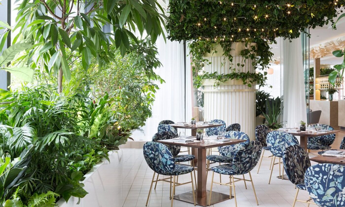 A plant-filled dining room with string lights