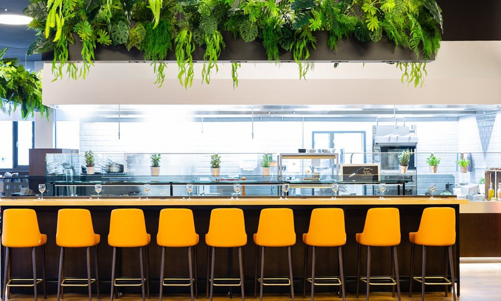 Bright breakfast servery at MOA Berlin with an open kitchen and hanging greenery