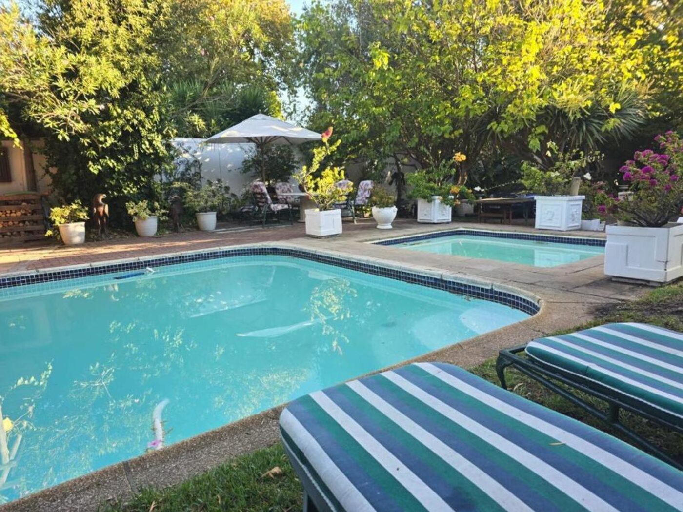 Poolside loungers in the garden