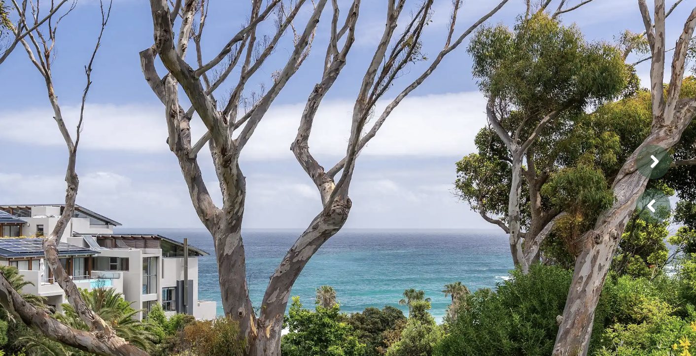 The Atlantic framed by gum trees, the beach a short walk below